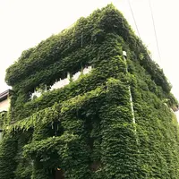 カフェストラグルの写真・動画_image_1327817