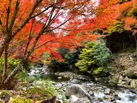 滝ノ口河川公園の写真・動画_image_1327844