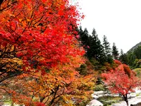 滝ノ口河川公園の写真・動画_image_1327845