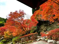 滝ノ口河川公園の写真・動画_image_1327846