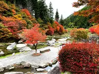 滝ノ口河川公園の写真・動画_image_1327847
