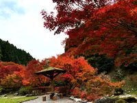滝ノ口河川公園の写真・動画_image_1327848