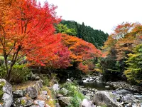 滝ノ口河川公園の写真・動画_image_1327849