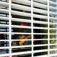 喫茶 ルフランの写真・動画_image_1327854