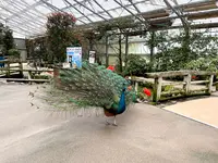 松江フォーゲルパークの写真・動画_image_1327988