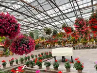 松江フォーゲルパークの写真・動画_image_1327990