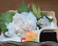 下町の居酒屋 六文銭の写真・動画_image_1329809