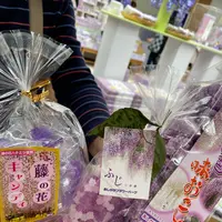 あしかがフラワーパークの写真・動画_image_1330541