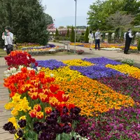 あしかがフラワーパークの写真・動画_image_1330550