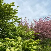 あしかがフラワーパークの写真・動画_image_1330558
