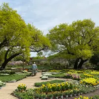 あしかがフラワーパークの写真・動画_image_1330559