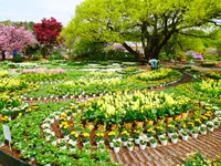 あしかがフラワーパークの写真・動画_image_1330579