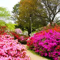 あしかがフラワーパークの写真・動画_image_1330590