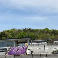 あしかがフラワーパークの写真・動画_image_1330592