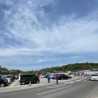 あしかがフラワーパークの写真・動画_image_1330594