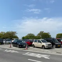 あしかがフラワーパークの写真・動画_image_1330595