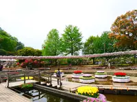 あしかがフラワーパークの写真・動画_image_1330605