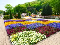 あしかがフラワーパークの写真・動画_image_1330606