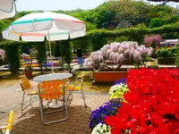 あしかがフラワーパークの写真・動画_image_1330610