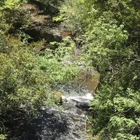 豊英大滝（大戸場滝）の写真・動画_image_1333838