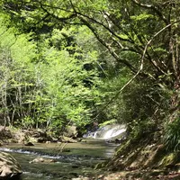 豊英大滝（大戸場滝）の写真・動画_image_1333839