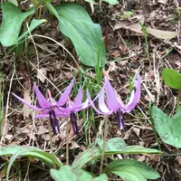 泉自然公園の写真・動画_image_1333841