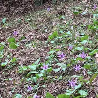 泉自然公園の写真・動画_image_1333842