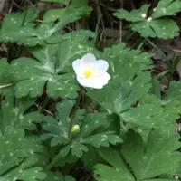 泉自然公園の写真・動画_image_1333843