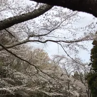 泉自然公園の写真・動画_image_1333844