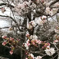 泉自然公園の写真・動画_image_1333845