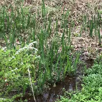 泉自然公園の写真・動画_image_1333846