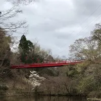 泉自然公園の写真・動画_image_1333847
