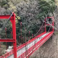 泉自然公園の写真・動画_image_1333848