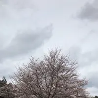 泉自然公園の写真・動画_image_1333849