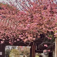 豊川稲荷東京別院の写真・動画_image_1333852