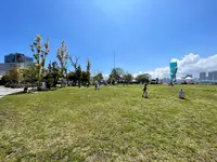 晴海ふ頭公園の写真・動画_image_1334424