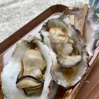 宮島（厳島）の写真・動画_image_1335690