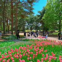 国営ひたち海浜公園の写真・動画_image_1335879