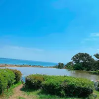 国営ひたち海浜公園の写真・動画_image_1335881