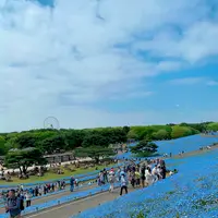 国営ひたち海浜公園の写真・動画_image_1335895