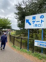 国営ひたち海浜公園の写真・動画_image_1335905