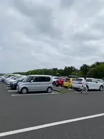 国営ひたち海浜公園の写真・動画_image_1335907