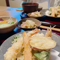 ロバの写真・動画_image_1339030