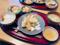 ロバの写真・動画_image_1339031