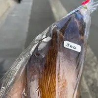 coperieの写真・動画_image_1342523