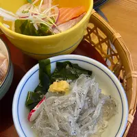 松葉寿司の写真・動画_image_1342957