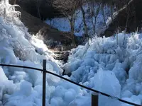 あしがくぼの氷柱の写真・動画_image_1344780