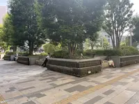 八重洲中央口の写真・動画_image_1344983