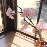 わらび餅専門店 門藤 千葉の写真・動画_image_1347888