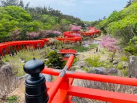 高山稲荷神社の写真・動画_image_1348340